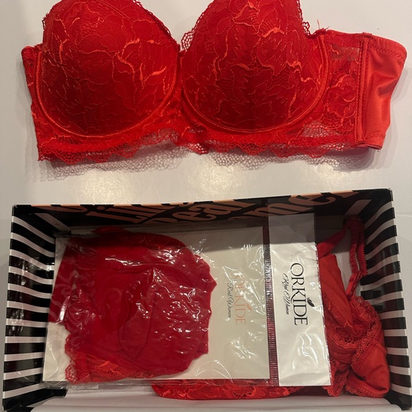 Elegant Red Lace Bra - Picture 2 of 7